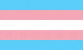 transrights-gif3c4cb3487579a0cd.gif